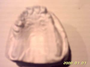 Photo 002 fioa6f - Eugenol