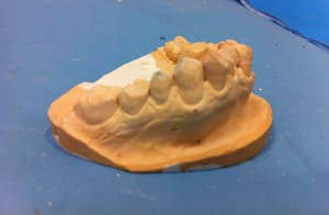 Photo 14 03 12 16 23 39 ugtrhv - Eugenol