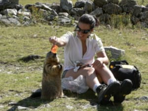 Photo 142 zknghh - Eugenol