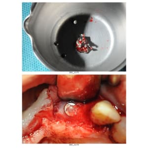 Planche contact 7 d9lopt - Eugenol
