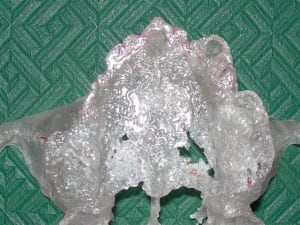 Rscn1874 wl39mh - Eugenol
