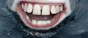 Sans titre3 lzafhp - Eugenol