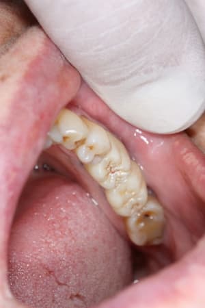 Whatsapp image 2020 01 22 at 09.59 - Eugenol