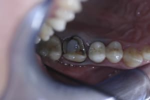  mg 1999   copie yfnwxh - Eugenol
