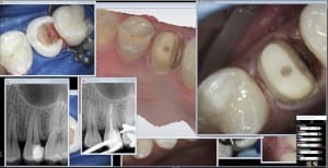 Aqihwuff790cmuixk86mz9sx75ly - Eugenol