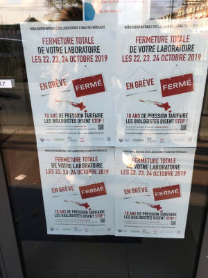 Arywrutkzcindqrodynt - Eugenol