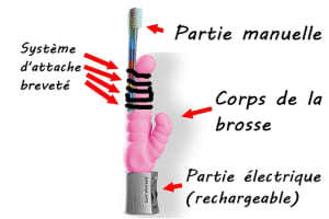 Brosse eclectique cmx1pb - Eugenol