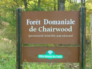 Chairwood bis jnfqr7 - Eugenol