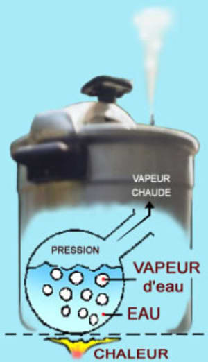 Cocotte minute imtrah - Eugenol