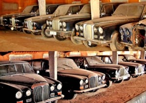Daimler v0dfwq - Eugenol