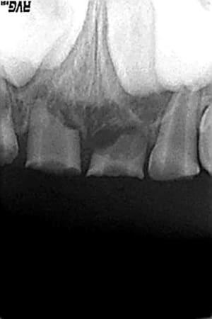 Dec2005 n3dhsj - Eugenol
