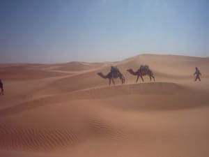 Dune chameau dromadaire deserts dunes 482950 jtghmv - Eugenol