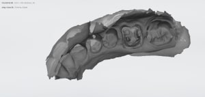 Guel s 2 ottrai - Eugenol