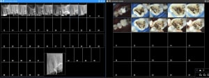 Gxyjvmo60ul1tou1v2kay9qcqd8n - Eugenol