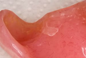 Intrado dsvrum - Eugenol