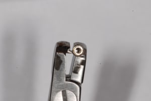 Iysutc7fmsbsqvmjobhp - Eugenol