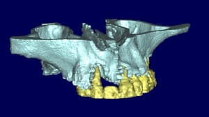 Jacques 3d6 sgjl8v - Eugenol