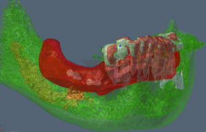 Jblender xpcv4h - Eugenol