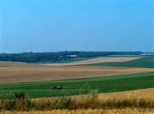 Mavue ugcln6 - Eugenol