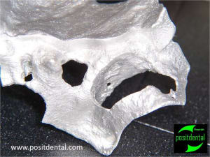 Mod le 3d st rile guide de d coupe 4 bghvxf - Eugenol