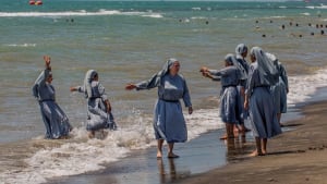 Nones uz5rbo - Eugenol