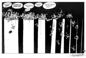 Onavancecestsur hki5nj - Eugenol