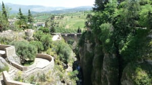 Ou2 vgbuop - Eugenol