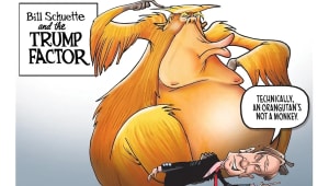 P66qwm8uhv78ol8ou47ic655e1wa - Eugenol