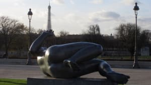 Paris dec 2009 018 yewsvg - Eugenol