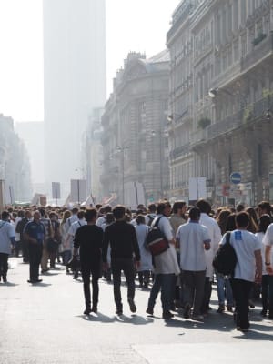 Pessoa7 f9zdkg - Eugenol