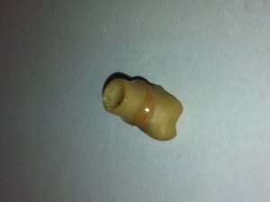 Photo 1 tge8d7 - Eugenol