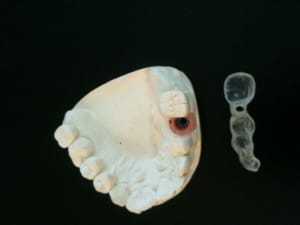 Photo 4  mod1z0 - Eugenol