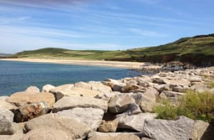 Photo  1  famtwc - Eugenol