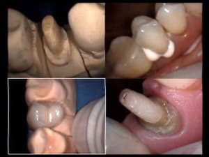 Pour gül 2 fgwz9u - Eugenol