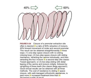 Proof kldozi - Eugenol