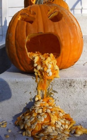 Pumpkin 1 atgpkz - Eugenol
