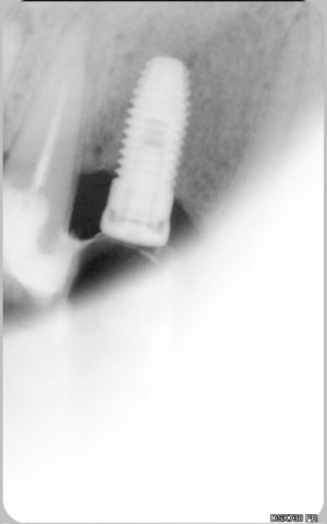 Retro christiano ok cntwxd - Eugenol