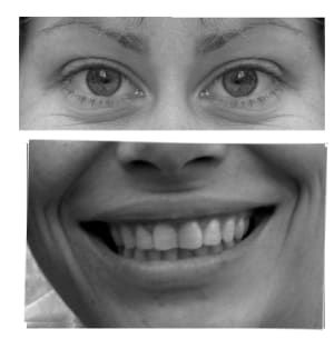 Sandrineb awliu7 - Eugenol