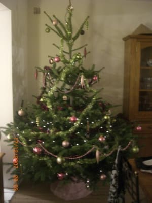 Sapin inhwhs - Eugenol