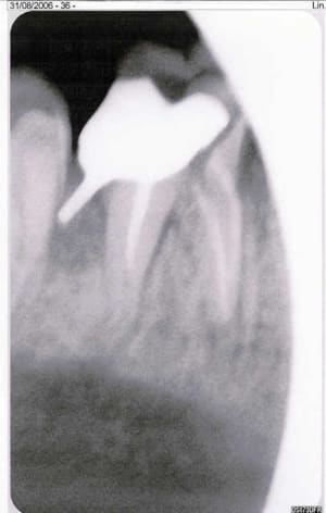Scan0004 dt5xqq - Eugenol