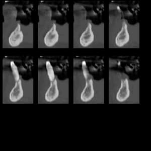 Scan 4 azy6ld - Eugenol