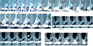 Scan haut gauche ioaz5j - Eugenol