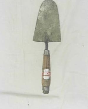 Spatule à eugénate svhsiu - Eugenol