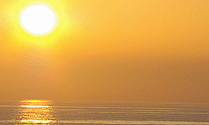 Test2 psigk8 - Eugenol