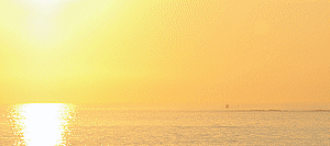 Testsunset10022008 py9y7u - Eugenol