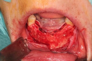 Travail 006 kg8nwe - Eugenol