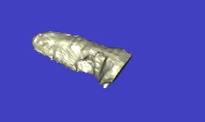 U 3d bnikjl - Eugenol