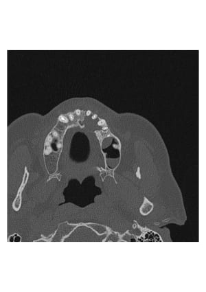 Vue c g3zzus - Eugenol