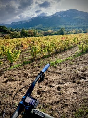 X97gg0hjfq9au4yn9nul75m16heg - Eugenol