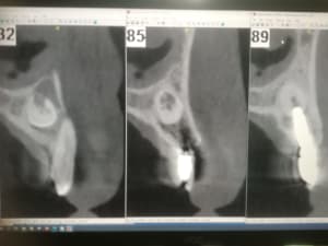 Xjl7j1xqmc1kk7je5jdwm8lmi36c - Eugenol